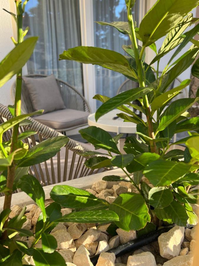 Sunset Huus Apartment Стариград-Пакленица Екстериор снимка
